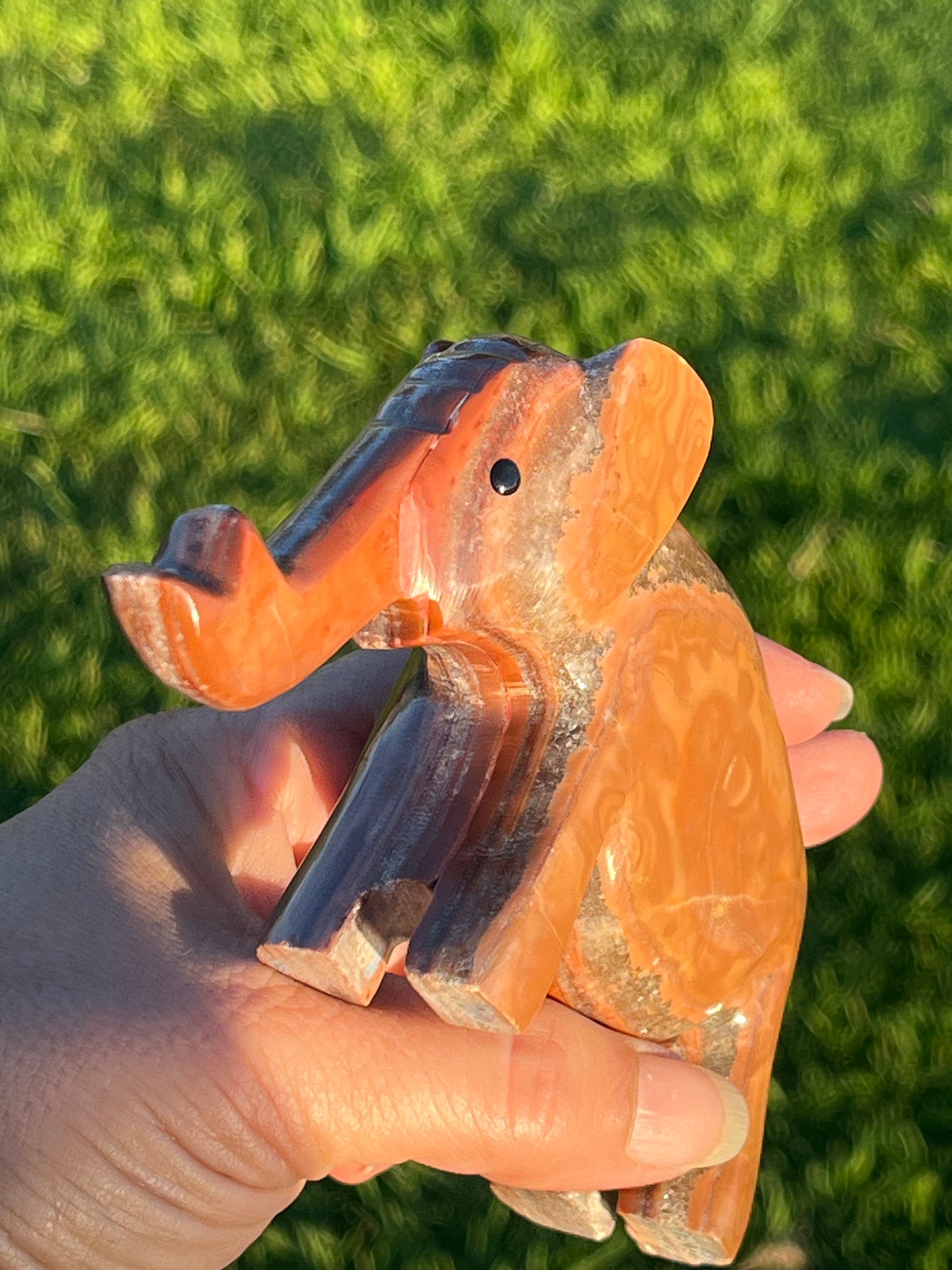 Banded Aragonite and Calcite Elephants