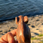 Banded Aragonite and Calcite Elephants