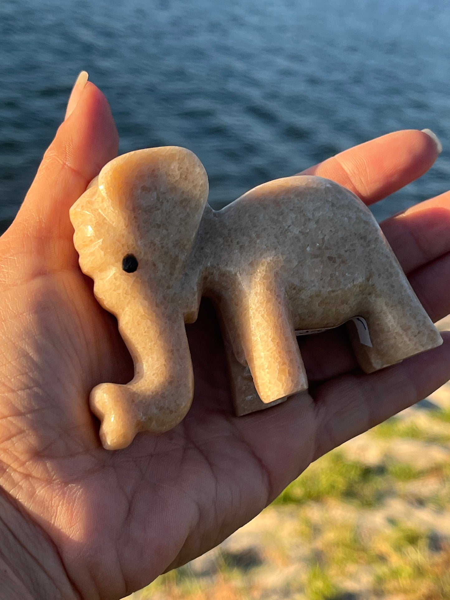 Calcite Elephants