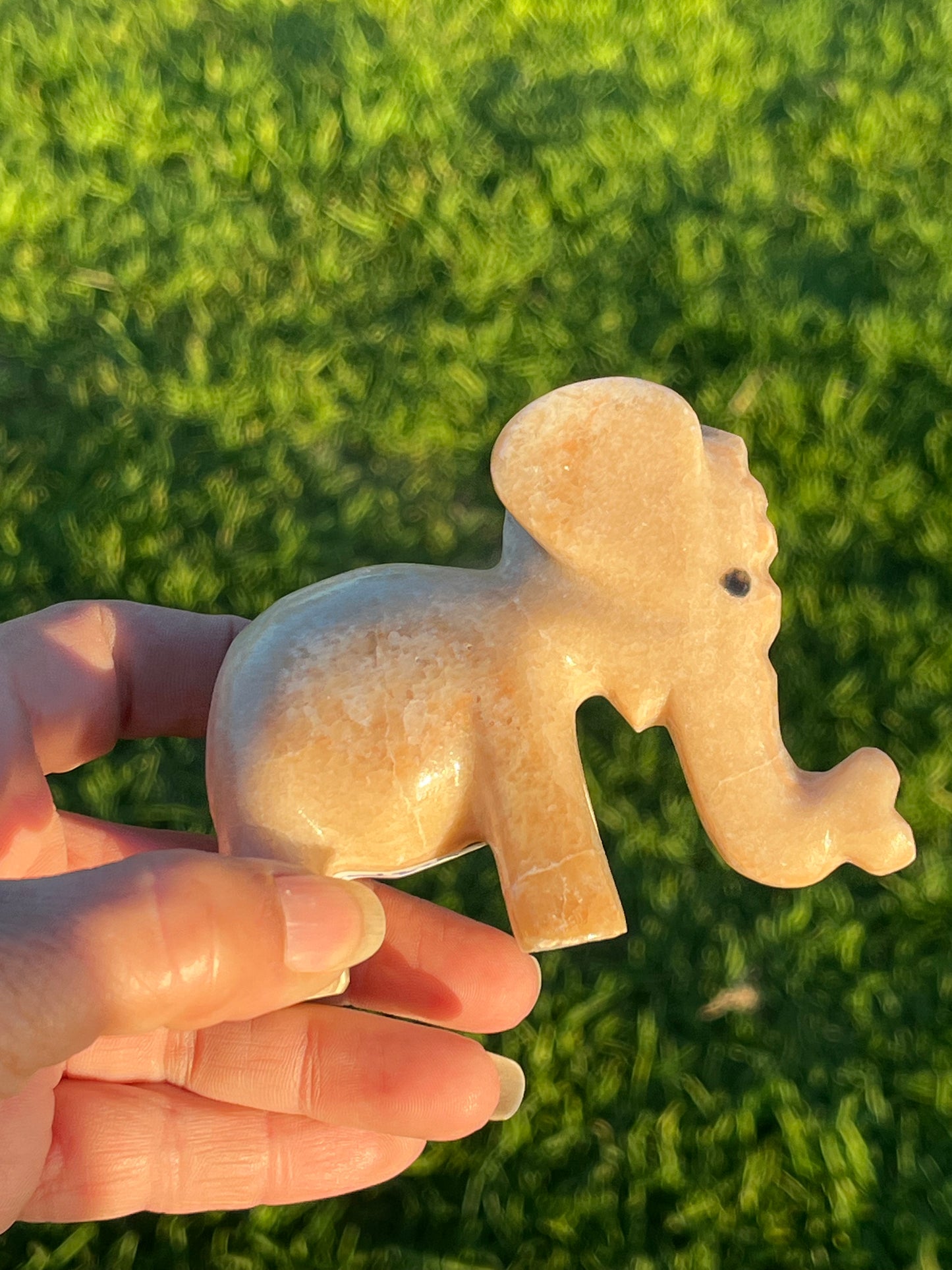 Calcite Elephants