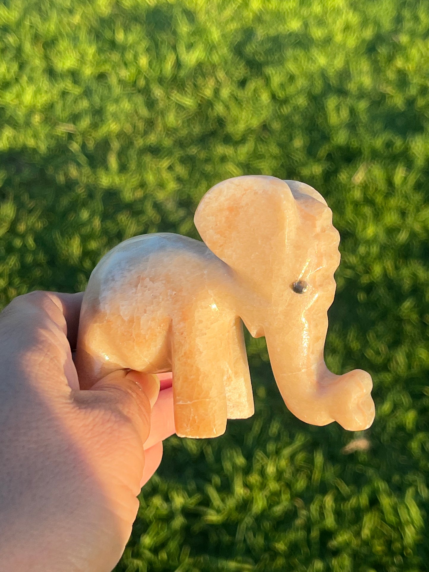 Calcite Elephants