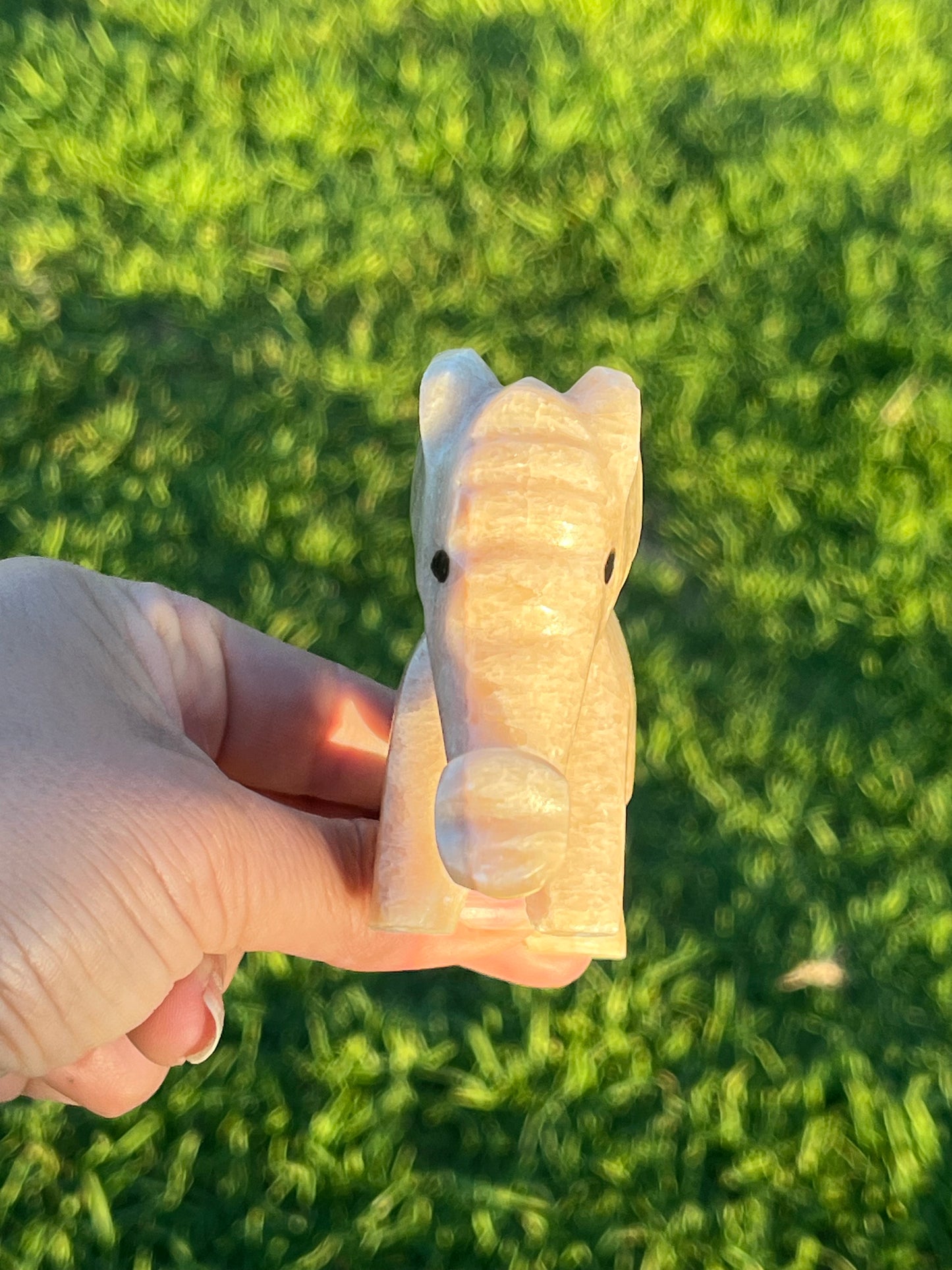 Calcite Elephants