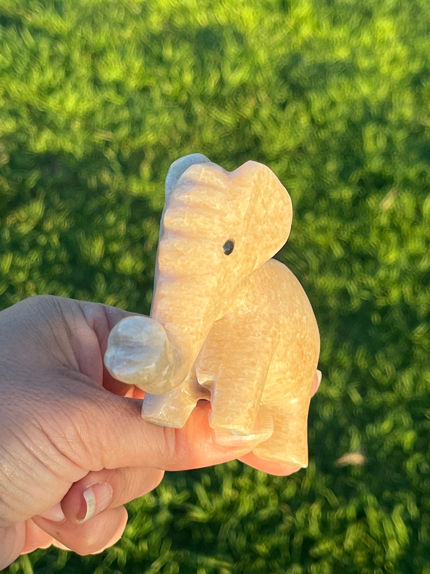 Calcite Elephants