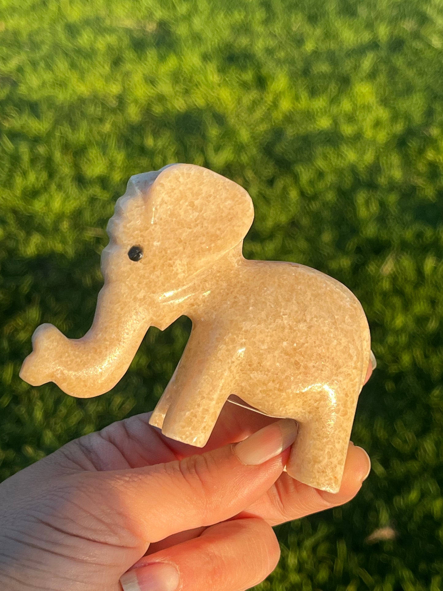 Calcite Elephants