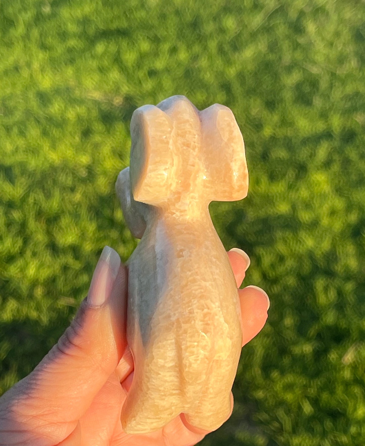 Calcite Elephants