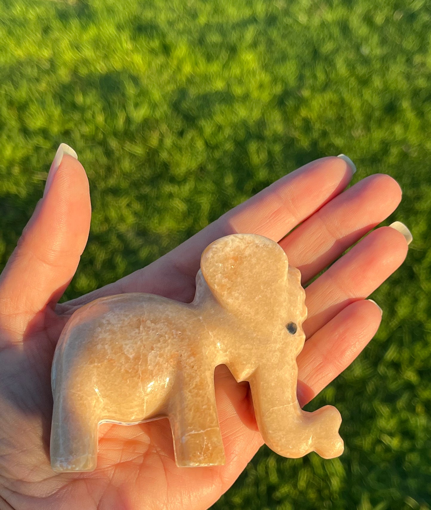 Calcite Elephants