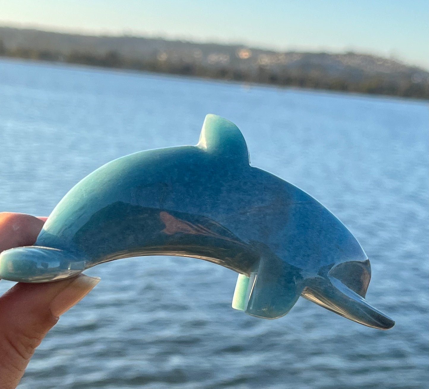 Trolleite Dolphin (Rare)