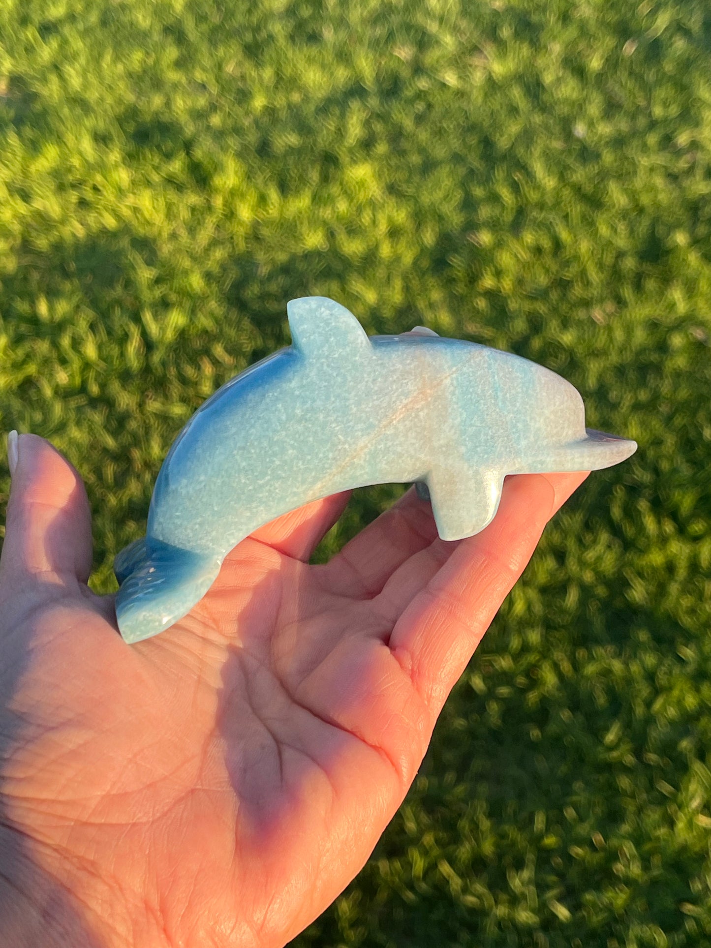 Trolleite Dolphin (Rare)