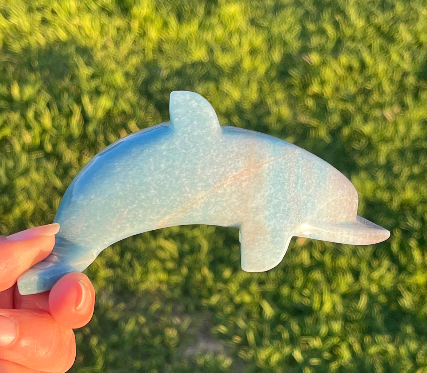 Trolleite Dolphin (Rare)