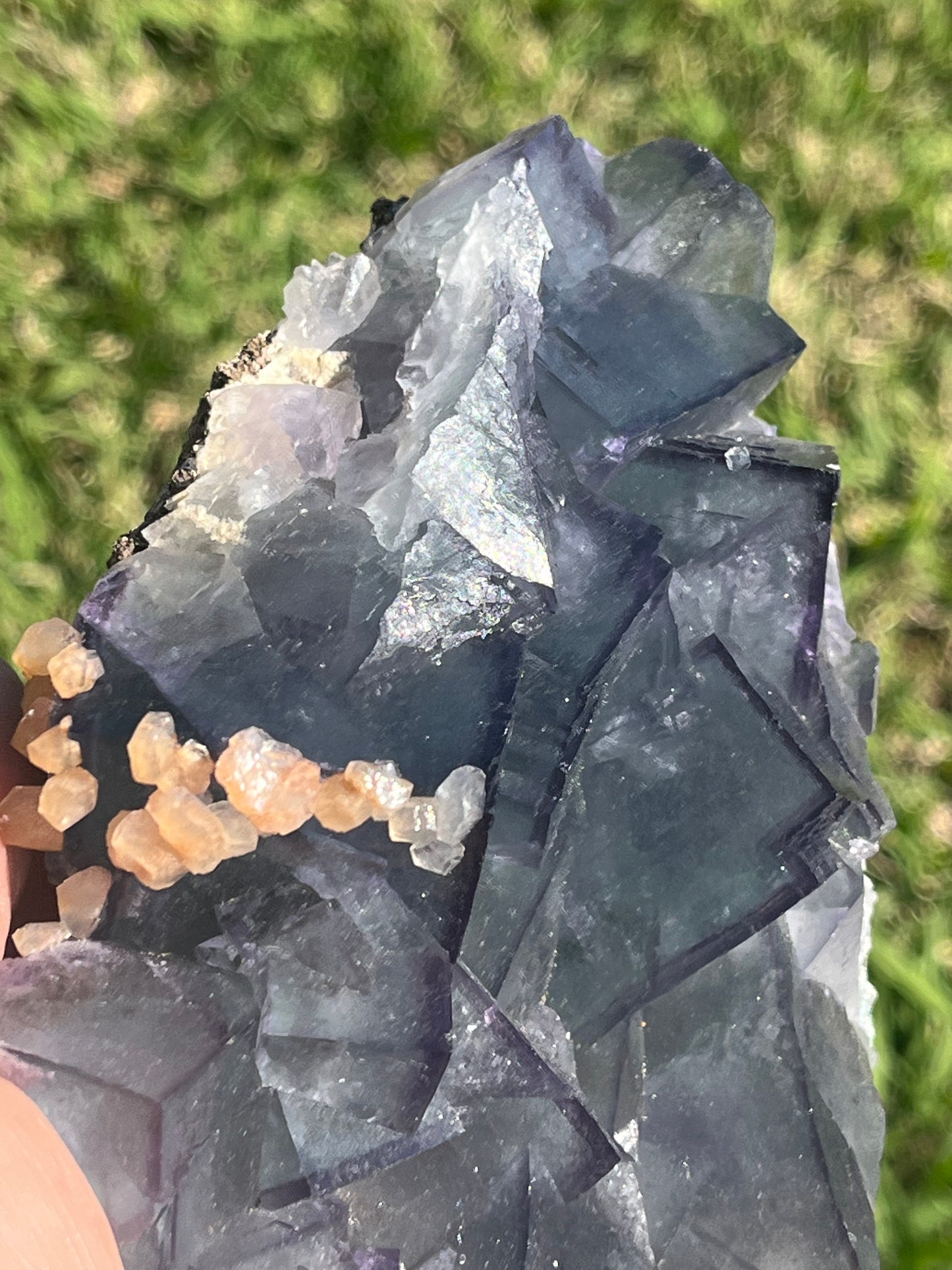 Rare Teal Blue with Purple Border Fluorite Specimen with Peach Stilbite