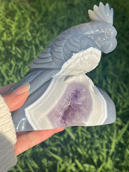 Agate and Amethyst Cockatoo Bird (XL) from Brazil