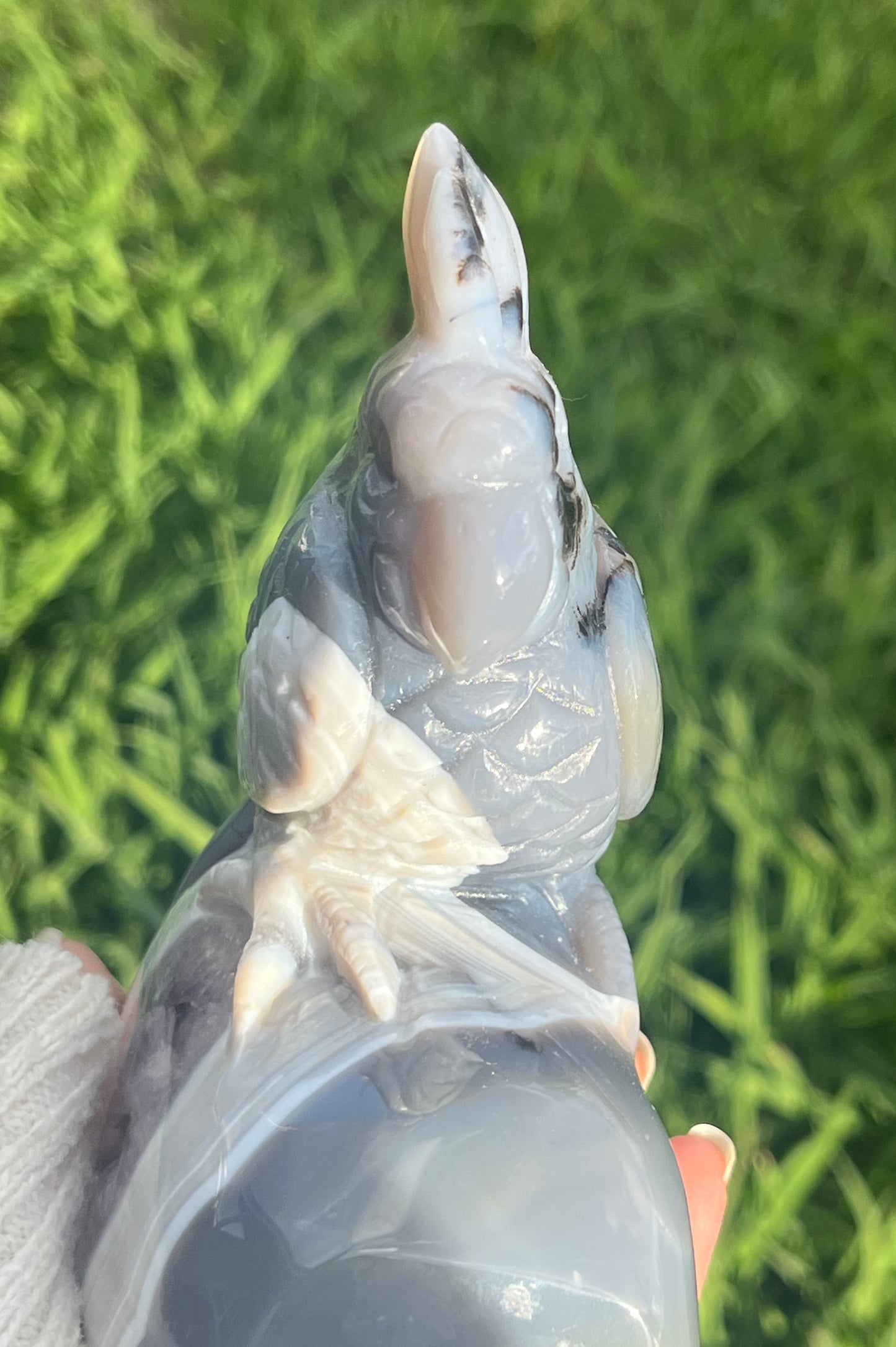 Agate and Amethyst Cockatoo Bird (XL) from Brazil