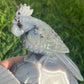 Agate and Amethyst Cockatoo Bird (XL) from Brazil