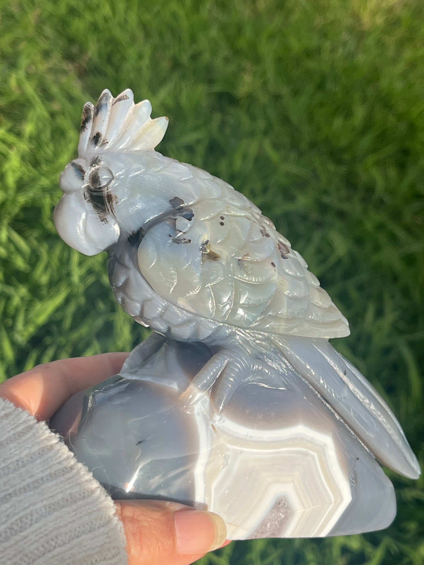 Agate and Amethyst Cockatoo Bird (XL) from Brazil