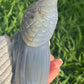 Agate and Amethyst Cockatoo Bird (XL) from Brazil