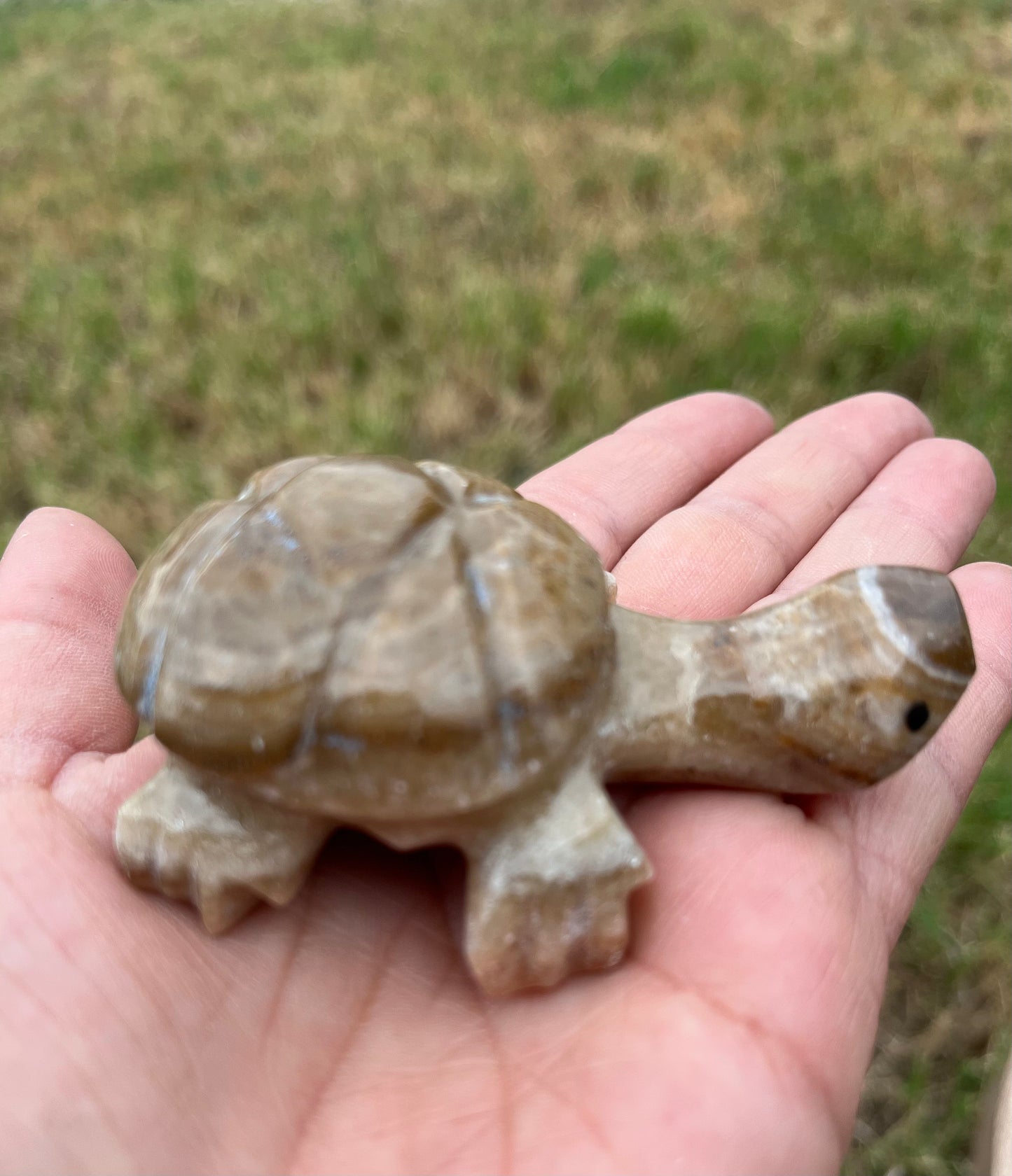 Enchanting Agate Turtles