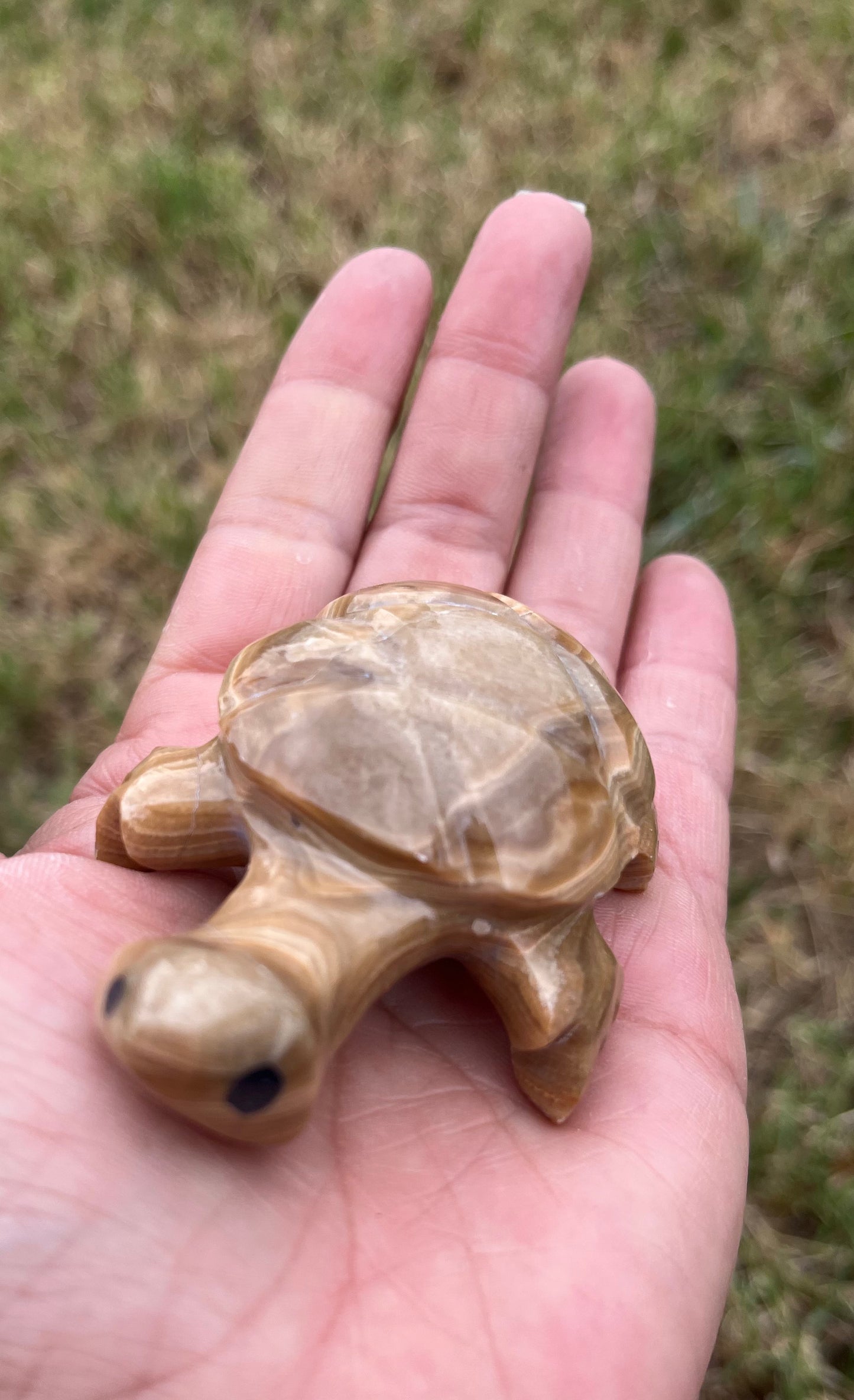 Enchanting Agate Turtles