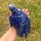 Sodalite Turtle XXL