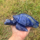 Sodalite Turtle XXL