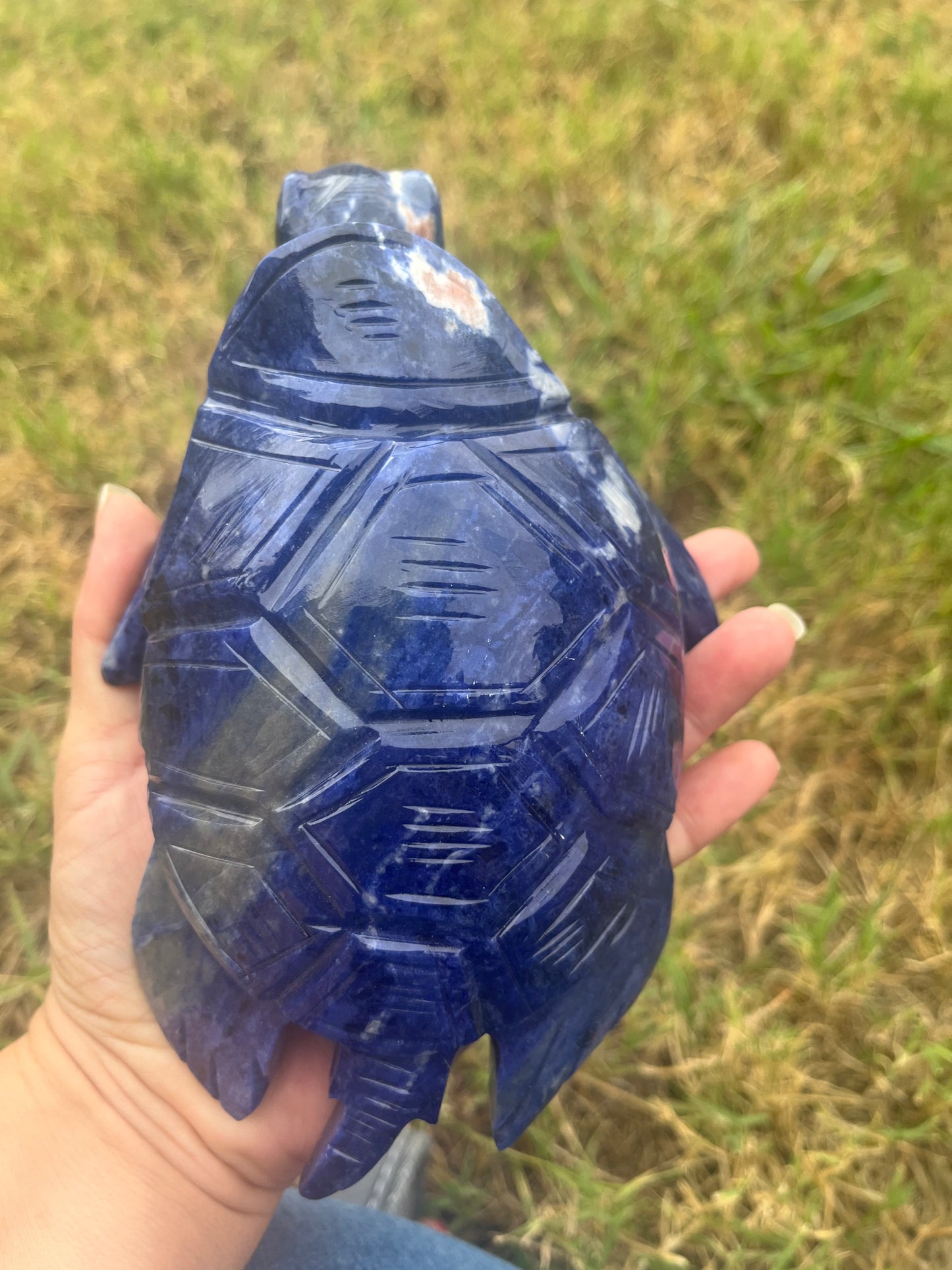 Sodalite Turtle XXL